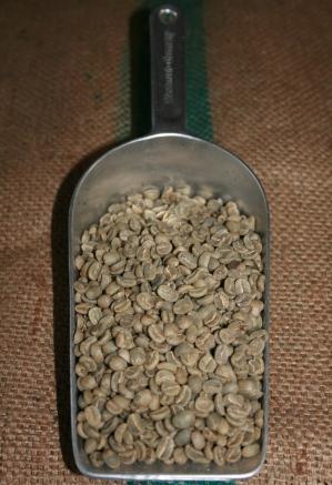Rohkaffee: Costa Rica Tarrazu 1000g