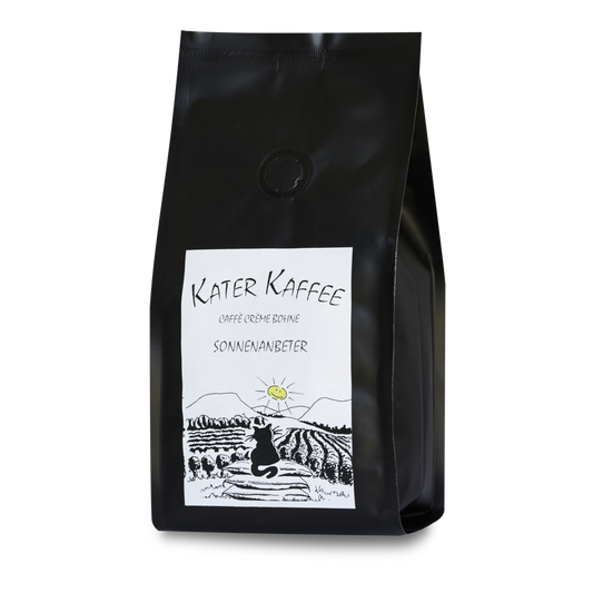 Kater Kaffee Sonnenanbeter