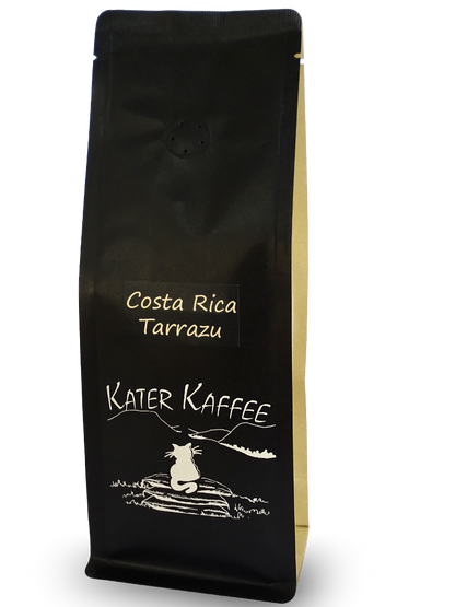 Kater Kaffee Weltenbummler Costa Rica Tarrazu